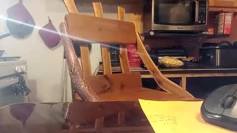 Snapshot of kota183368 chatting on October 2025 02:29:01 PM kota183368 online show from October 2025 02:29:01 PM