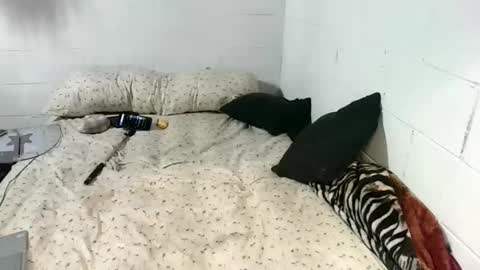 Katybaby online show from January 2026 10:04:02 PM