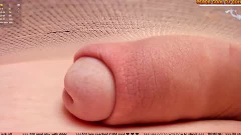 Petra online show from December 2025 03:52:01 PM