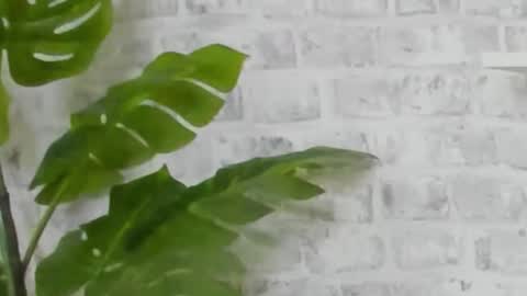 Kristi online show from December 2024 09:45:02 AM