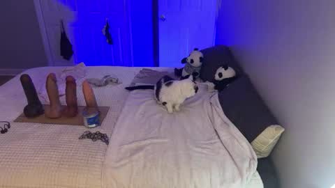 Kristin Snow online show from September 2025 04:47:01 AM