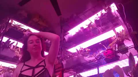 krookedorchid online show from October 2025 11:44:02 AM