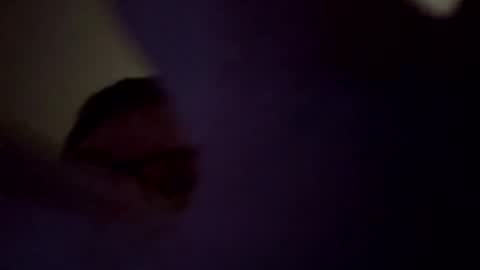 Tommy online show from December 2025 11:59:01 AM