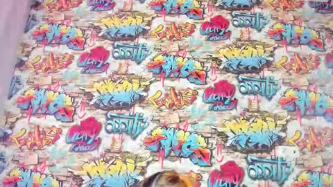 Krys online show from November 2025 12:56:02 AM