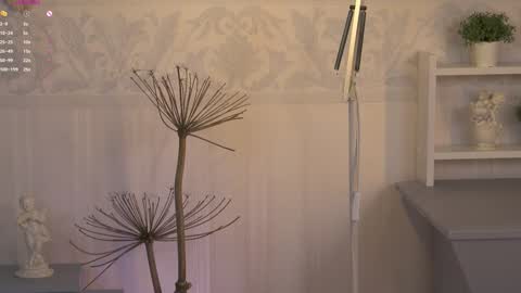 Ksesha online show from February 2025 03:48:01 AM