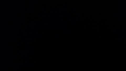 kvicali online show from December 2024 11:14:01 PM