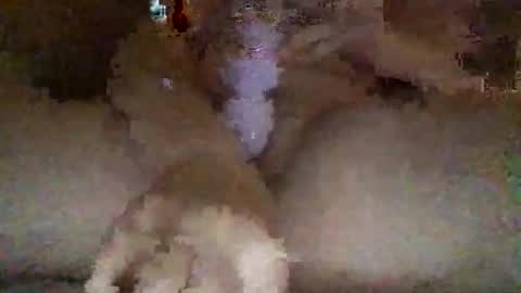 kylie online show from February 2026 03:06:01 AM