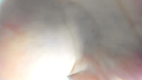 Ameli online show from November 2025 08:00:02 AM