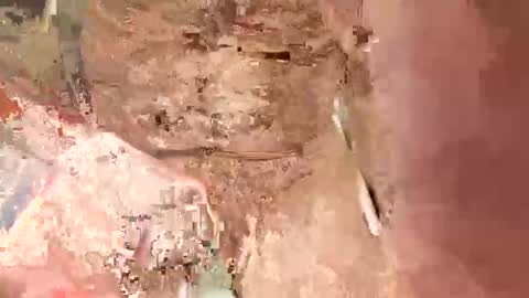 la7496659 online show from January 2025 07:19:02 AM