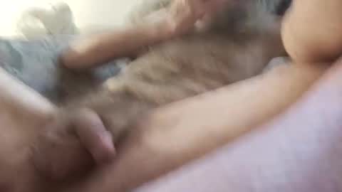 la7496659 online show from November 2025 05:42:01 PM