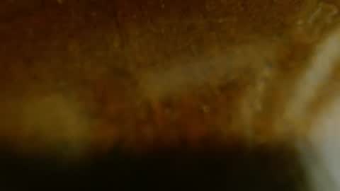 la teaser online show from November 2025 01:17:02 AM