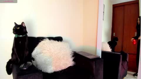 lace_victoria online show from January 2026 06:54:02 PM