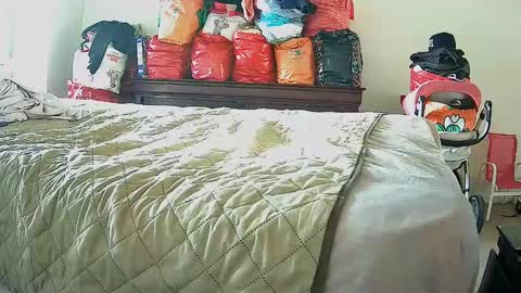 lachickadelbronx online show from December 2024 01:22:02 PM