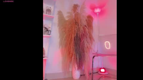 Colorina  online show from January 2026 11:04:01 AM