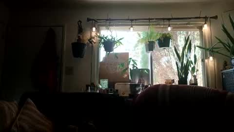 lacybell online show from September 2025 10:11:01 PM