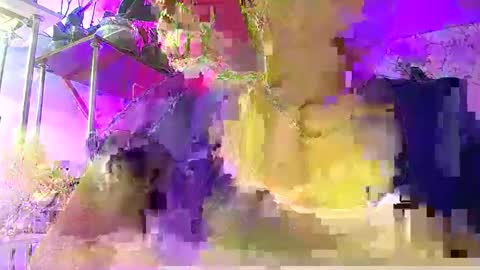 Snapshot of lady_gloria chatting on January 2026 06:05:02 AM Lady Gloria online show from January 2026 06:05:02 AM