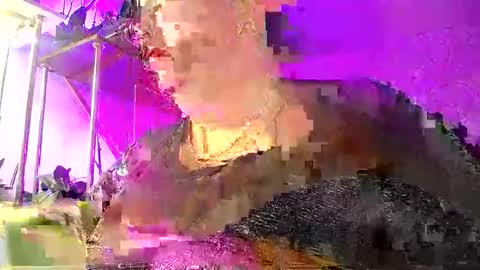 Snapshot of lady_gloria chatting on January 2026 05:43:02 AM Lady Gloria online show from January 2026 05:43:02 AM