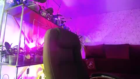 Snapshot of lady_gloria chatting on February 2026 06:22:02 AM Lady Gloria online show from February 2026 06:22:02 AM