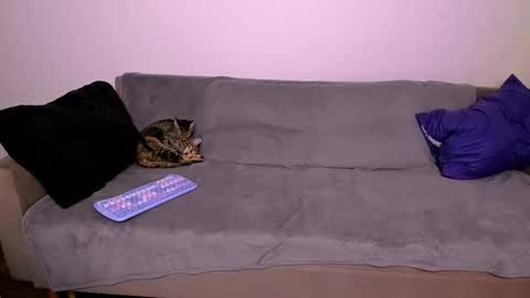 Snapshot of ladytrep chatting on January 2026 07:56:02 PM LadyTrep online show from January 2026 07:56:02 PM