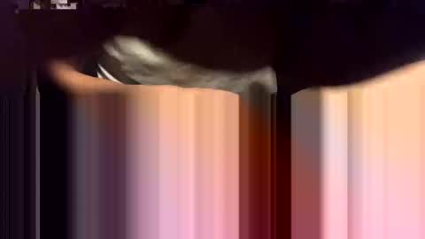 lalo112233vaz online show from November 2025 09:04:01 AM