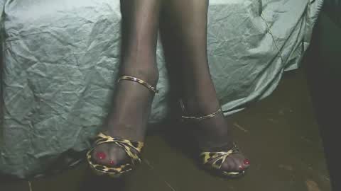 lana_legs53 online show from April 2026 05:51:02 AM