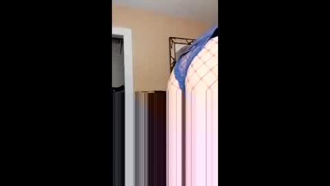 Snapshot of langederek2 chatting on February 2026 03:03:01 AM langederek2 online show from February 2026 03:03:01 AM