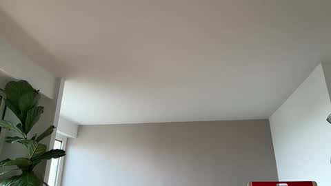 Lanimal online show from March 2026 01:05:02 PM