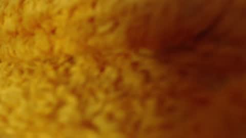 Snapshot of laralhotr chatting on December 2024 01:11:02 AM laralhotr online show from December 2024 01:11:02 AM