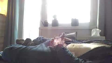 lari310580 online show from December 2025 08:20:01 AM