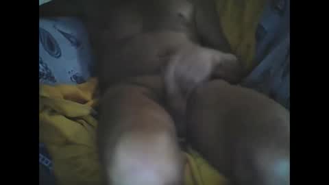 Snapshot of larop49 chatting on October 2025 05:16:02 AM Larop49 online show from October 2025 05:16:02 AM