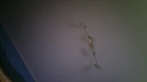 Snapshot of larry009 chatting on December 2025 03:00:01 AM larry009 online show from December 2025 03:00:01 AM