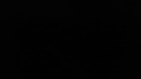 Snapshot of larry77733217 chatting on February 2025 09:56:02 PM larry77733217 online show from February 2025 09:56:02 PM
