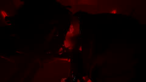 Snapshot of latex__buddy chatting on March 2026 10:43:01 AM latex__buddy online show from March 2026 10:43:01 AM