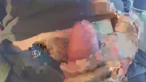 joseph online show from November 2025 08:39:02 AM