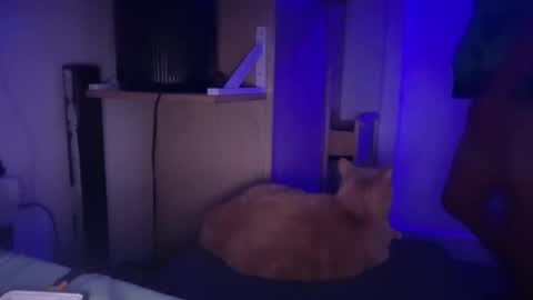 LATiNBOiiXXX online show from April 2026 02:09:02 AM