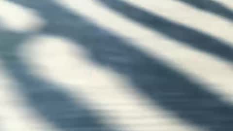 latinlover199518 online show from May 2026 07:08:02 PM