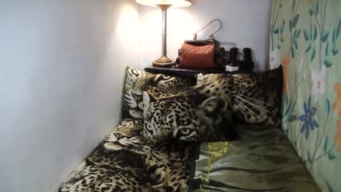 Snapshot of laureen_gavh chatting on February 2025 08:13:02 AM Belle online show from February 2025 08:13:02 AM