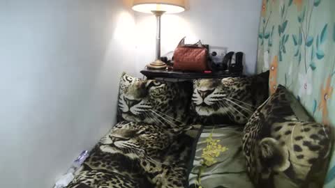 Snapshot of laureen_gavh chatting on February 2025 10:08:02 PM Belle online show from February 2025 10:08:02 PM