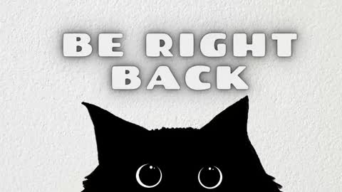 lauren_stone_ online show from February 2026 11:55:01 AM