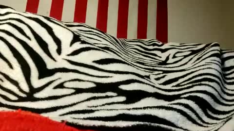 Snapshot of lawerenceingram46 chatting on September 2025 04:25:01 AM lawerenceingram46 online show from September 2025 04:25:01 AM