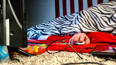 Snapshot of lawerenceingram46 chatting on September 2025 06:04:01 AM lawerenceingram46 online show from September 2025 06:04:01 AM