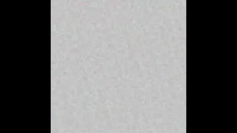 leejhonsonnn online show from November 2025 11:42:01 AM