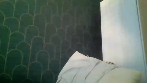 leeuwarder12 online show from November 2025 07:35:01 PM