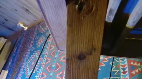 Dliciousman online show from December 2024 05:50:02 PM