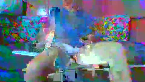 Snapshot of lemao77 chatting on January 2026 01:43:02 AM SEX MASTER online show from January 2026 01:43:02 AM