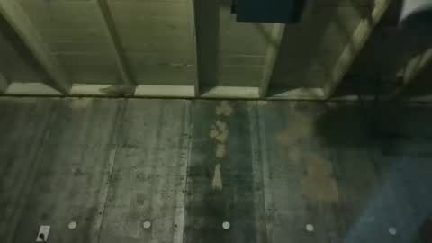 leo199984 online show from February 2026 03:49:02 AM