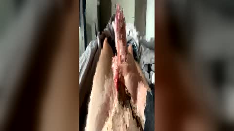 leo41231 online show from April 2026 08:42:02 AM