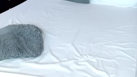 Snapshot of leonacutecam chatting on February 2025 11:04:02 PM LUCY online show from February 2025 11:04:02 PM