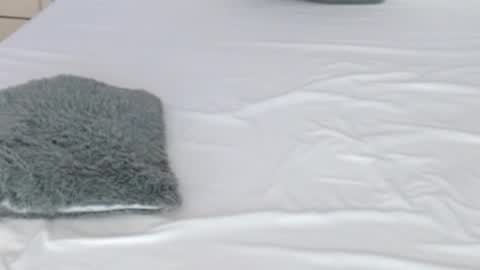 LUCY online show from February 2026 08:37:01 PM