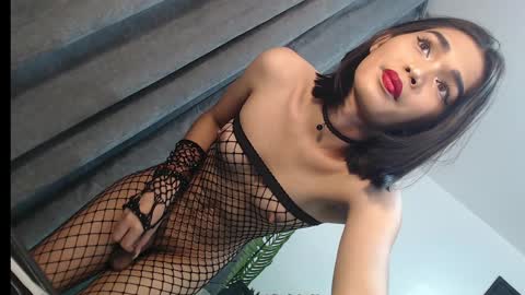 Trisha18 online show from February 2025 06:17:01 PM